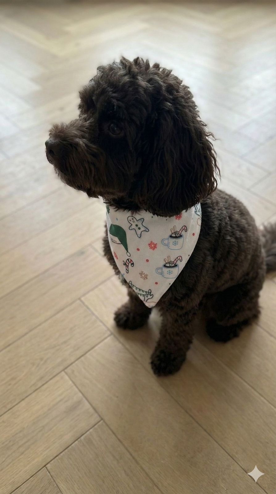 Dog Bandana Reindeer - Reset Loungewear